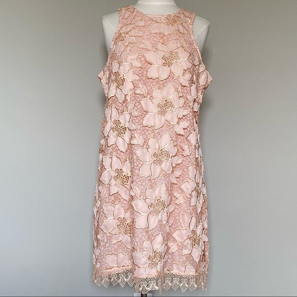 Lovers + Friends Dress Caspian Blush Lace Shift Dress, L - Picture 2 of 13